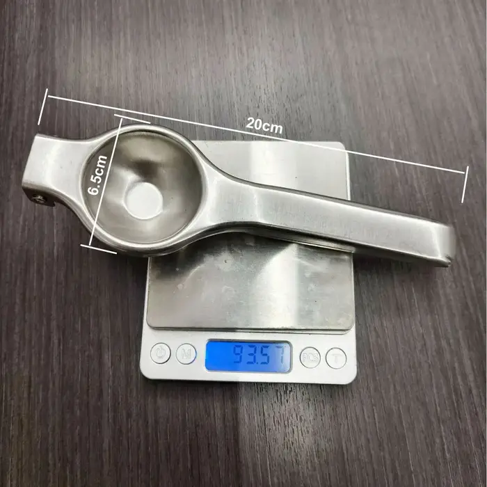 Extracteur de jus manuel en acier inoxydable