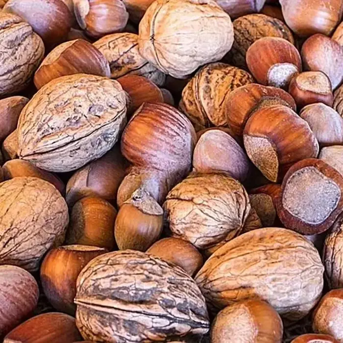 Équipement de boulangerie professionnel