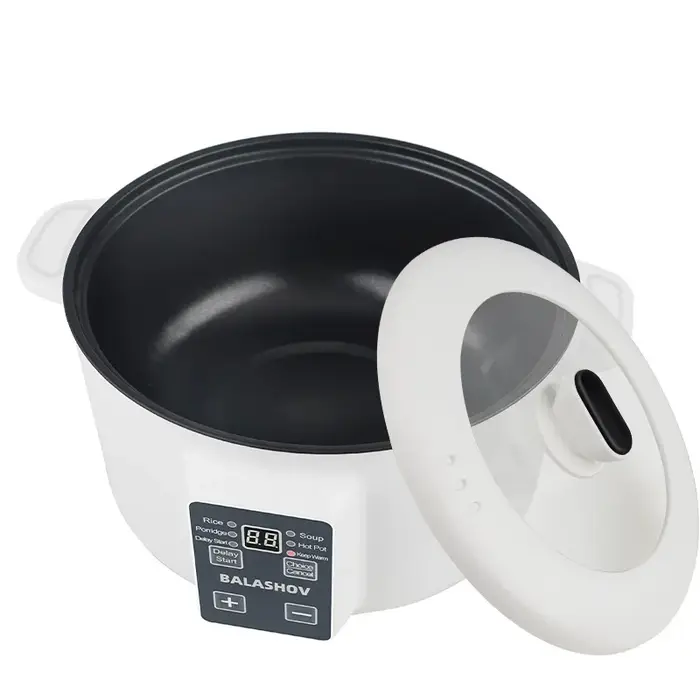 Cuiseur électrique multi-cuiseurs ménagers 220V