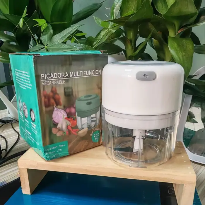 Mini hachoir à ail et à viande rechargeable