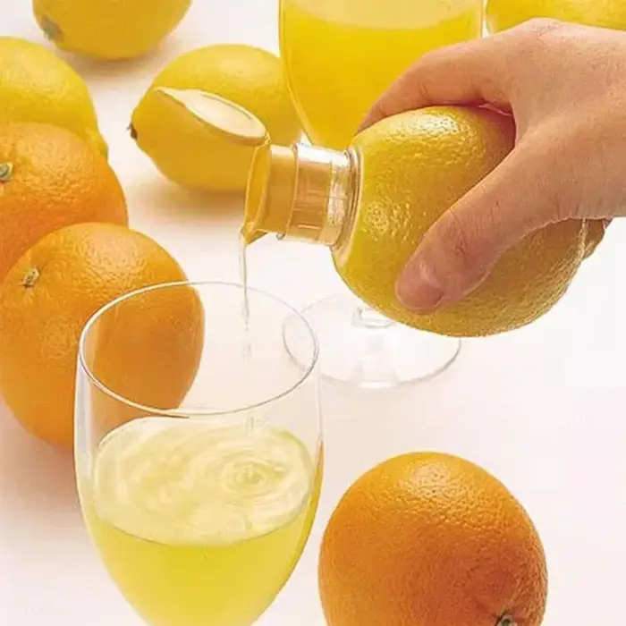 Extracteur de jus Portable
