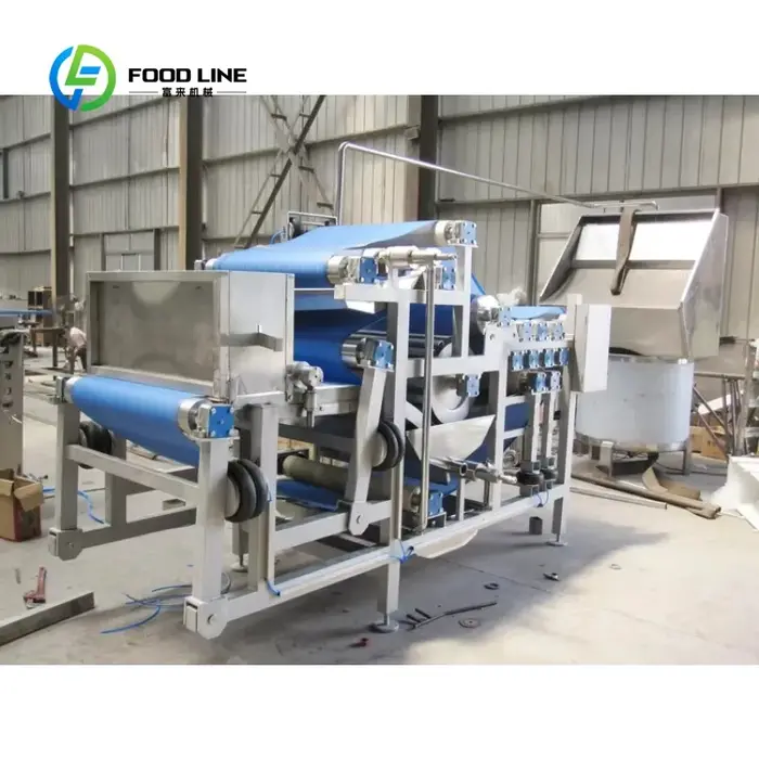 Extracteur de jus de fruits professionnel sur mesure